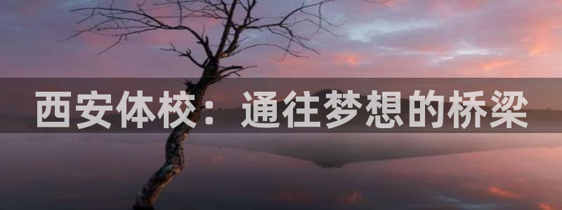 oety欧亿体育官网下载是干嘛的公司:西安体校:通往梦想的桥