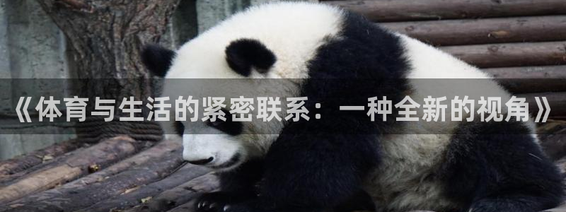 oety欧亿体育官网下载平台是正规平台吗安全吗:《体育与生活